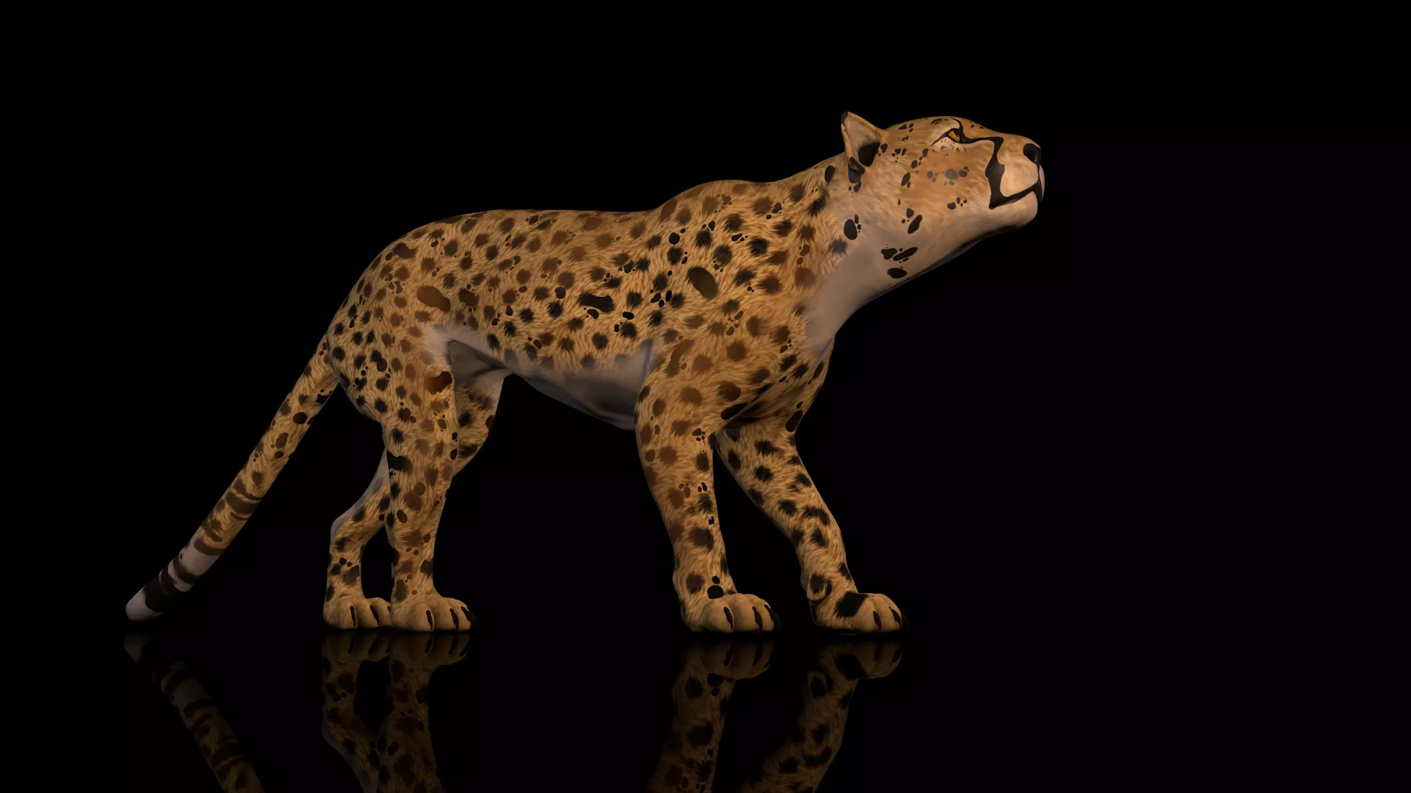 Cheetah 3D model High Detailed Rigged and Textures 3D model_0