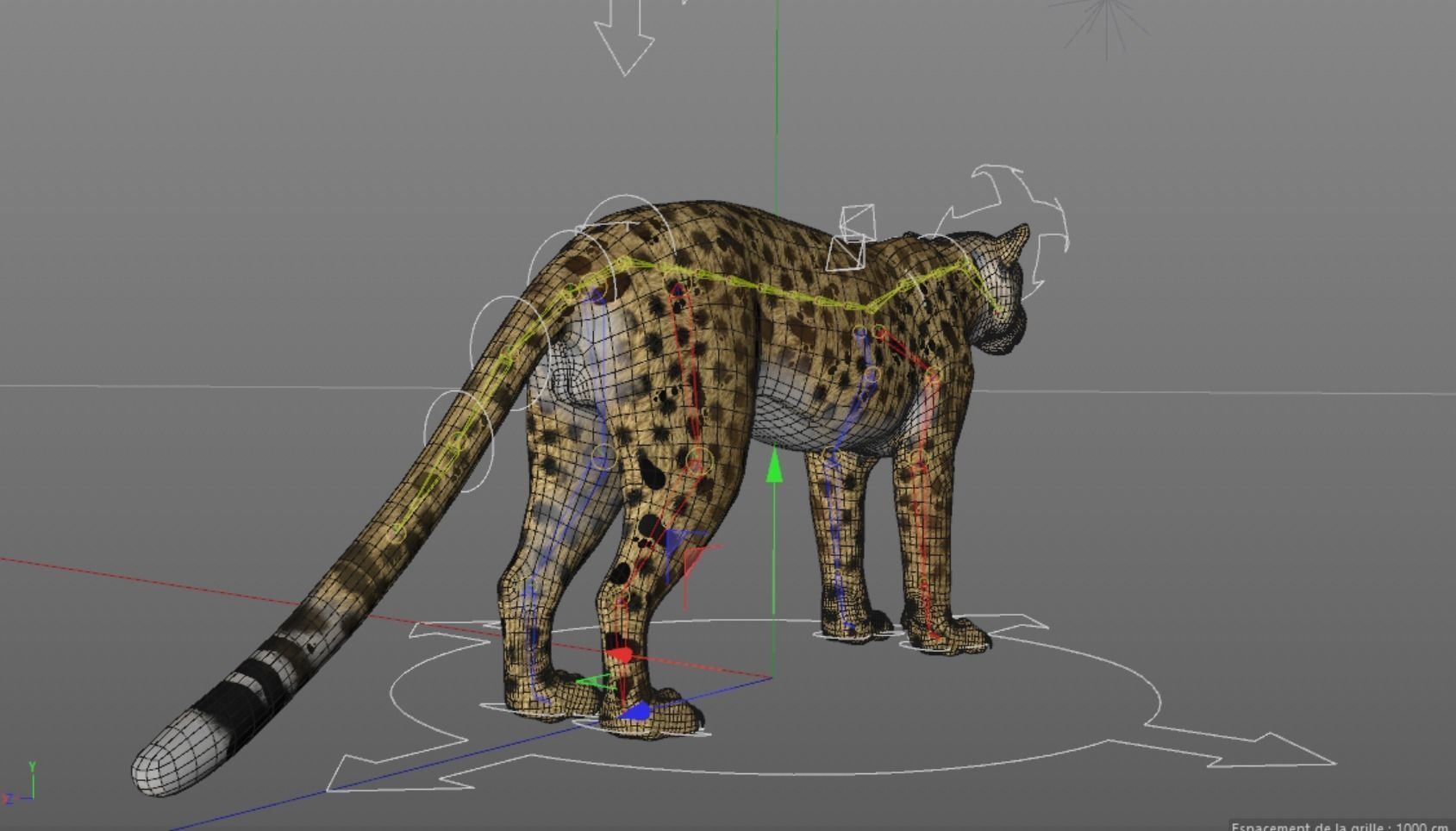 Cheetah 3D model High Detailed Rigged and Textures 3D model_3