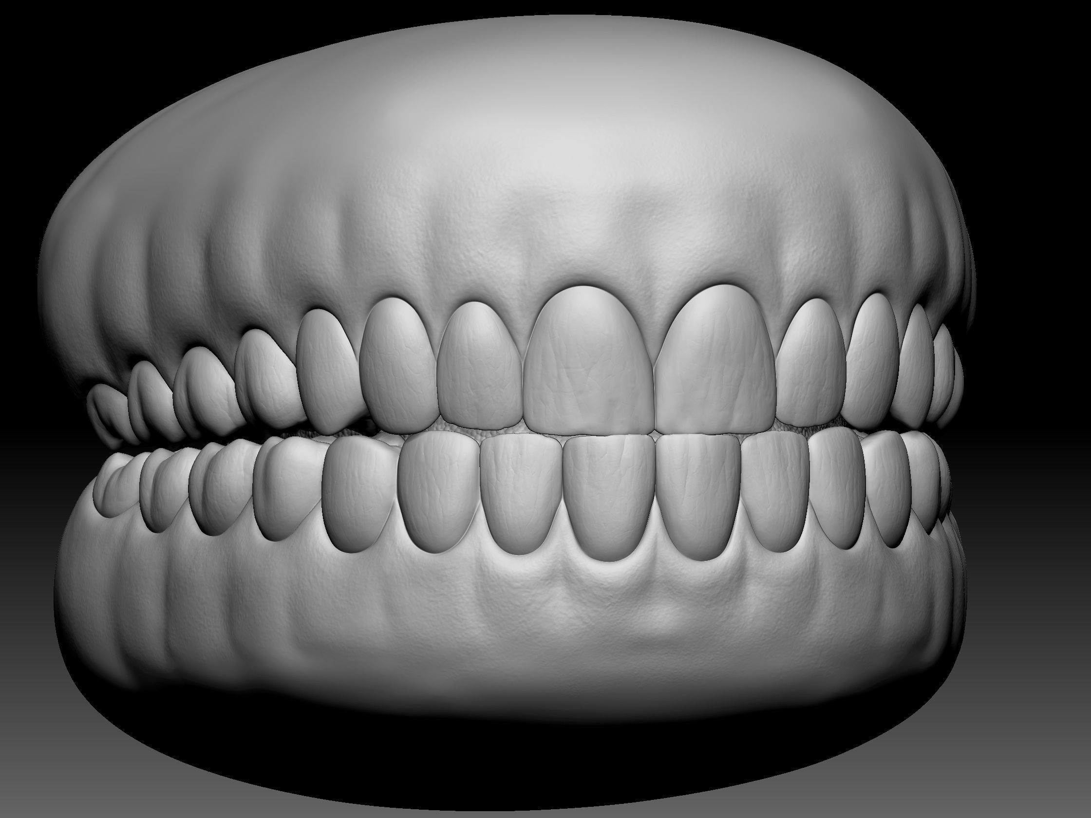 Teeth with gums and Tongue Low-poly 3D model_7