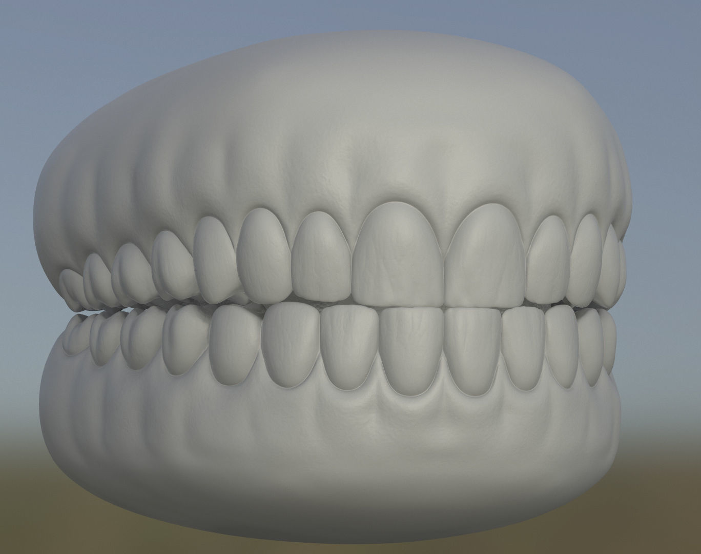 Teeth with gums and Tongue Low-poly 3D model_3