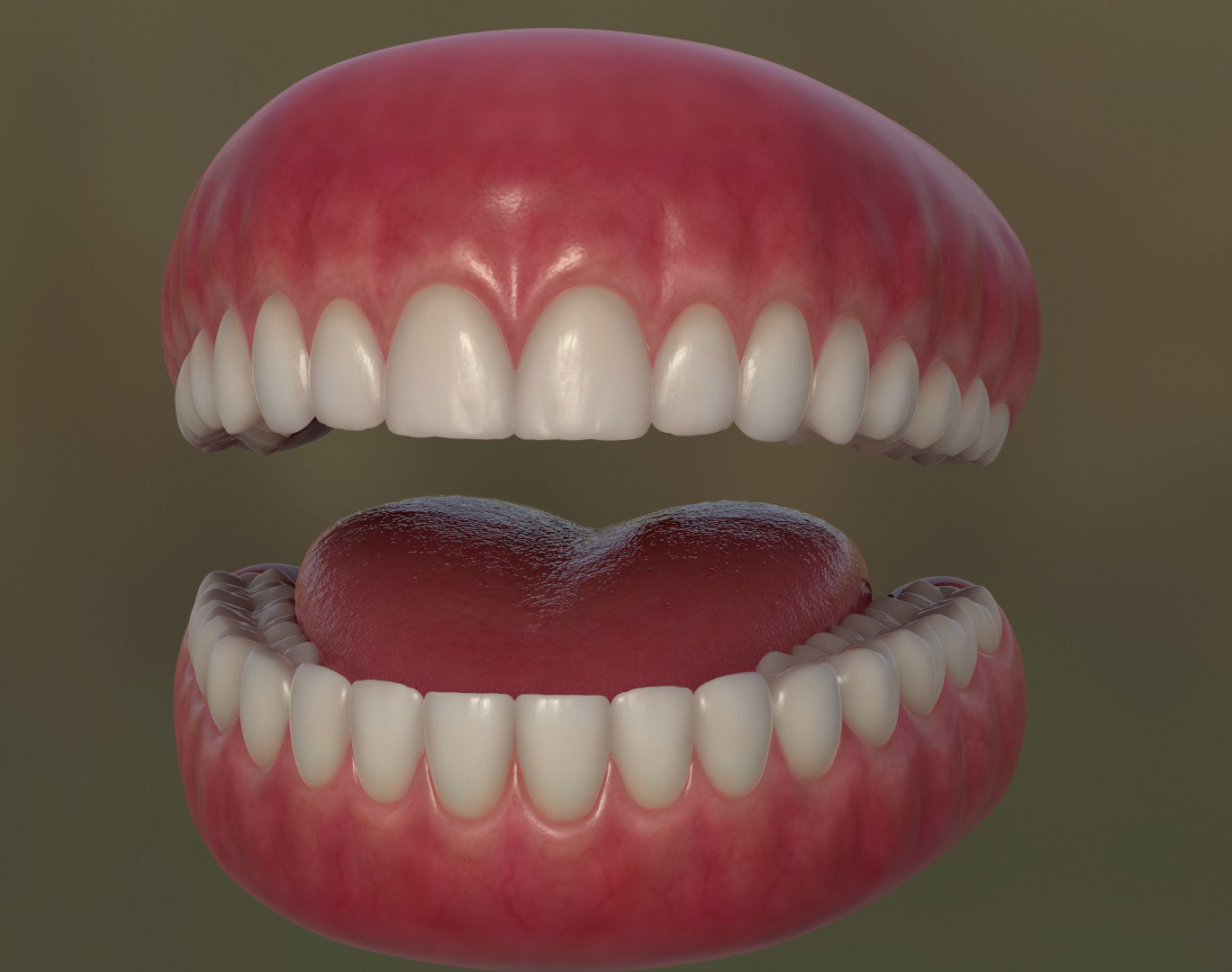 Teeth with gums and Tongue Low-poly 3D model_1