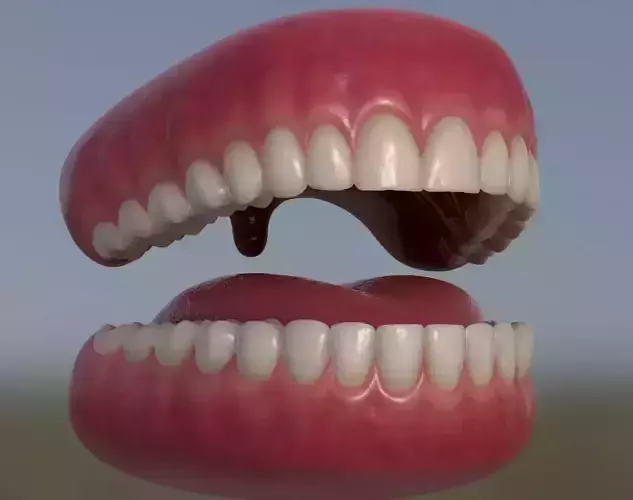 Teeth with gums and Tongue Low-poly 3D model