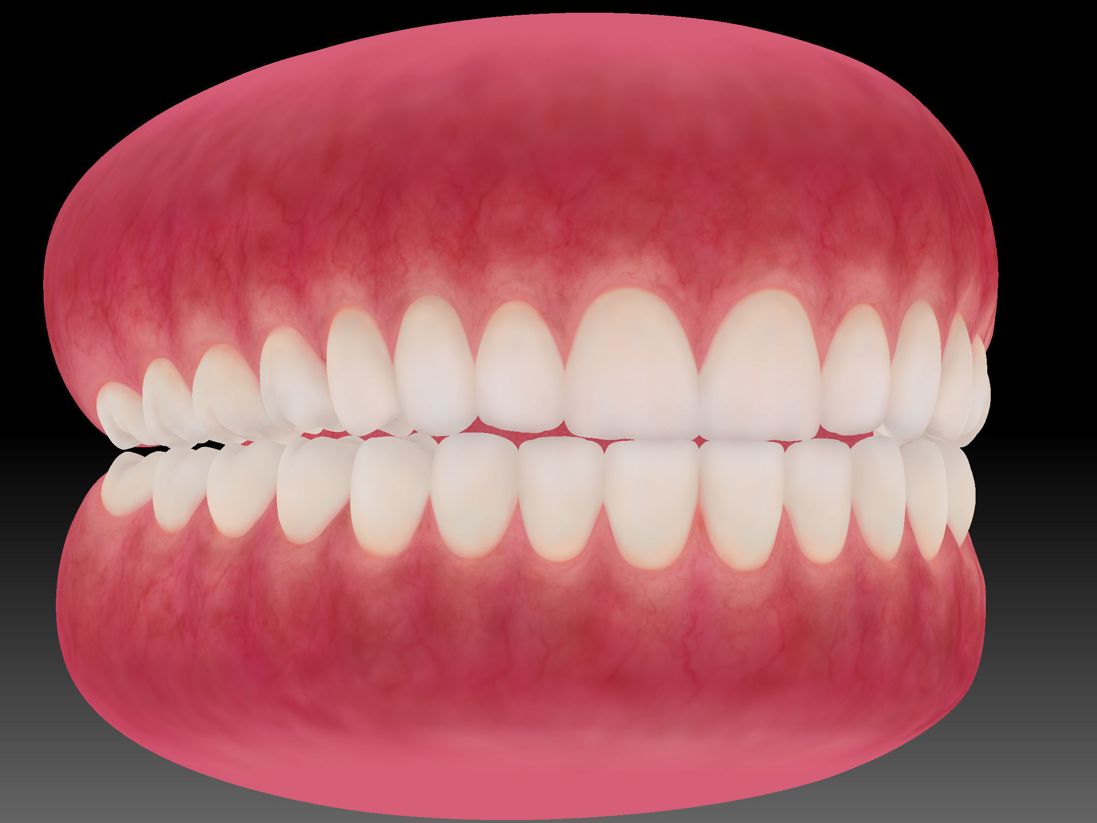 Teeth with gums and Tongue Low-poly 3D model_10