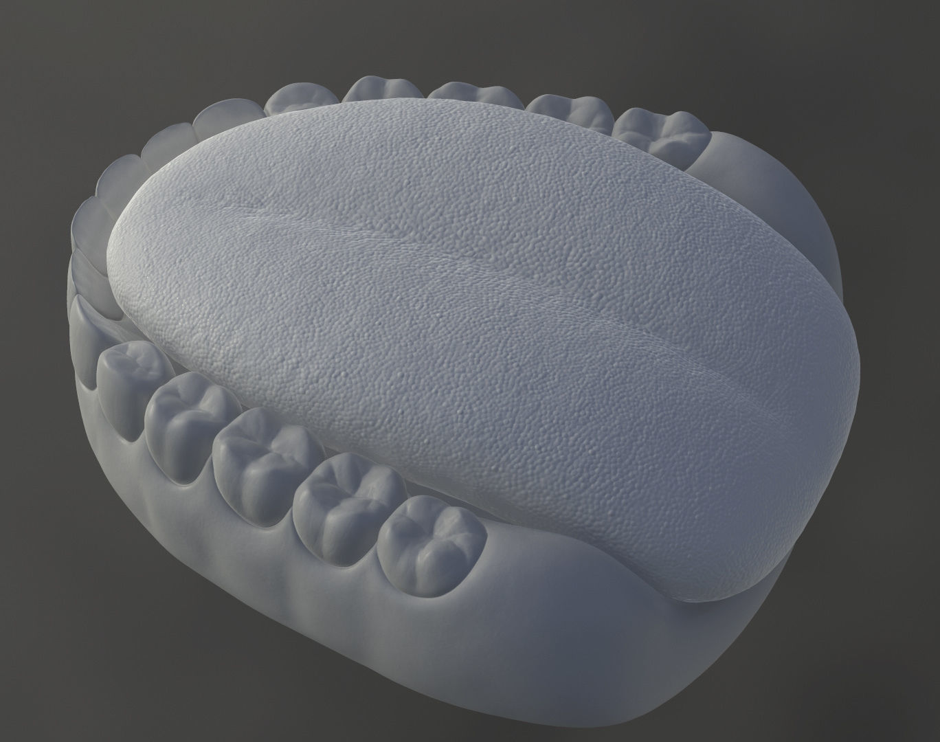Teeth with gums and Tongue Low-poly 3D model_4