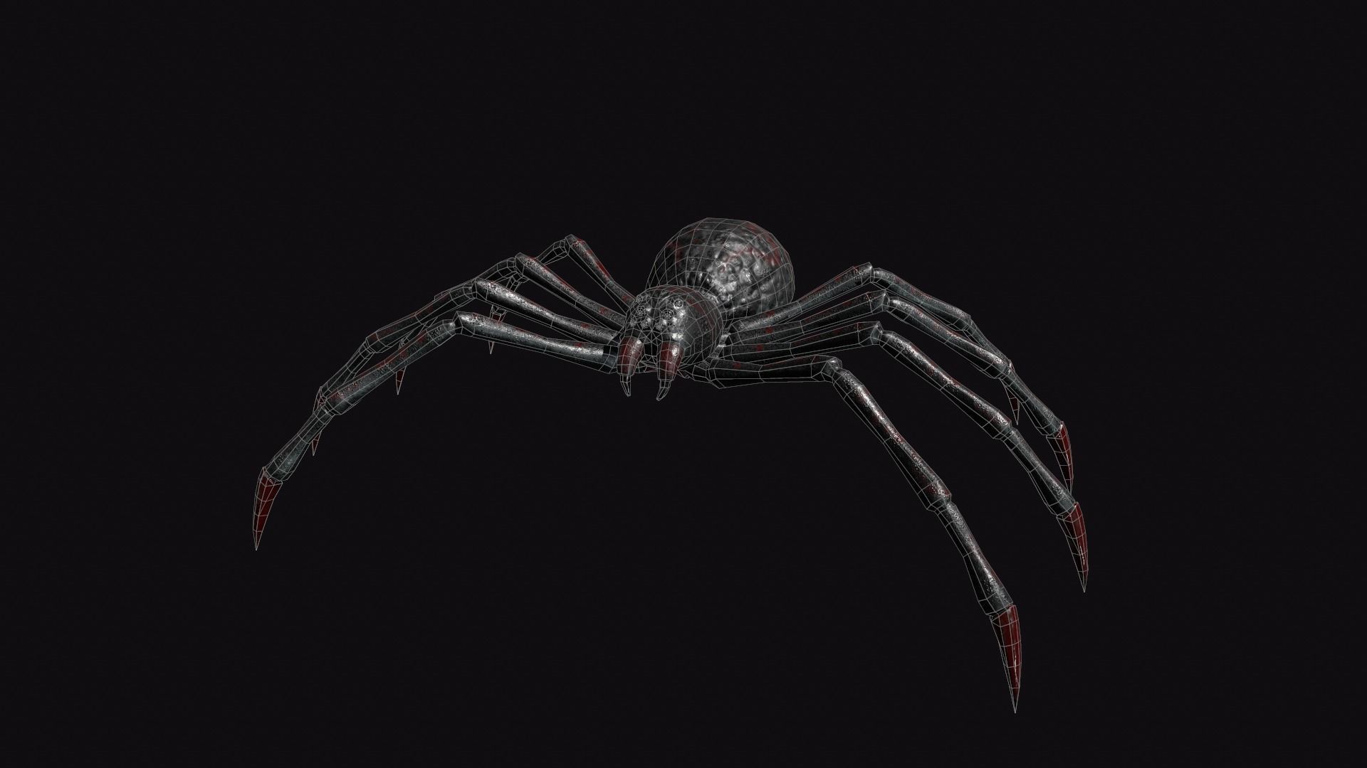 Spider Low-poly 3D model_5
