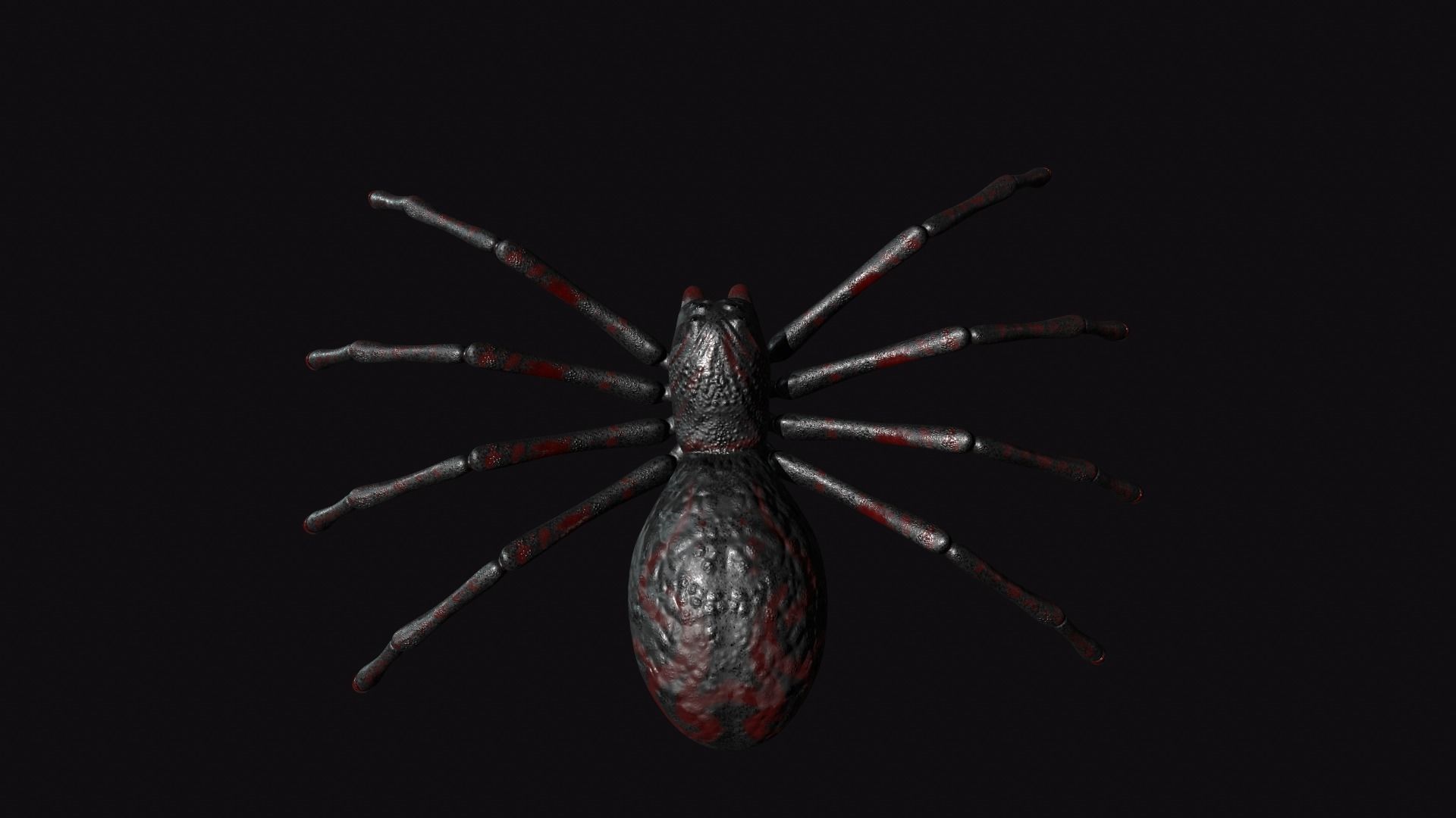 Spider Low-poly 3D model_2