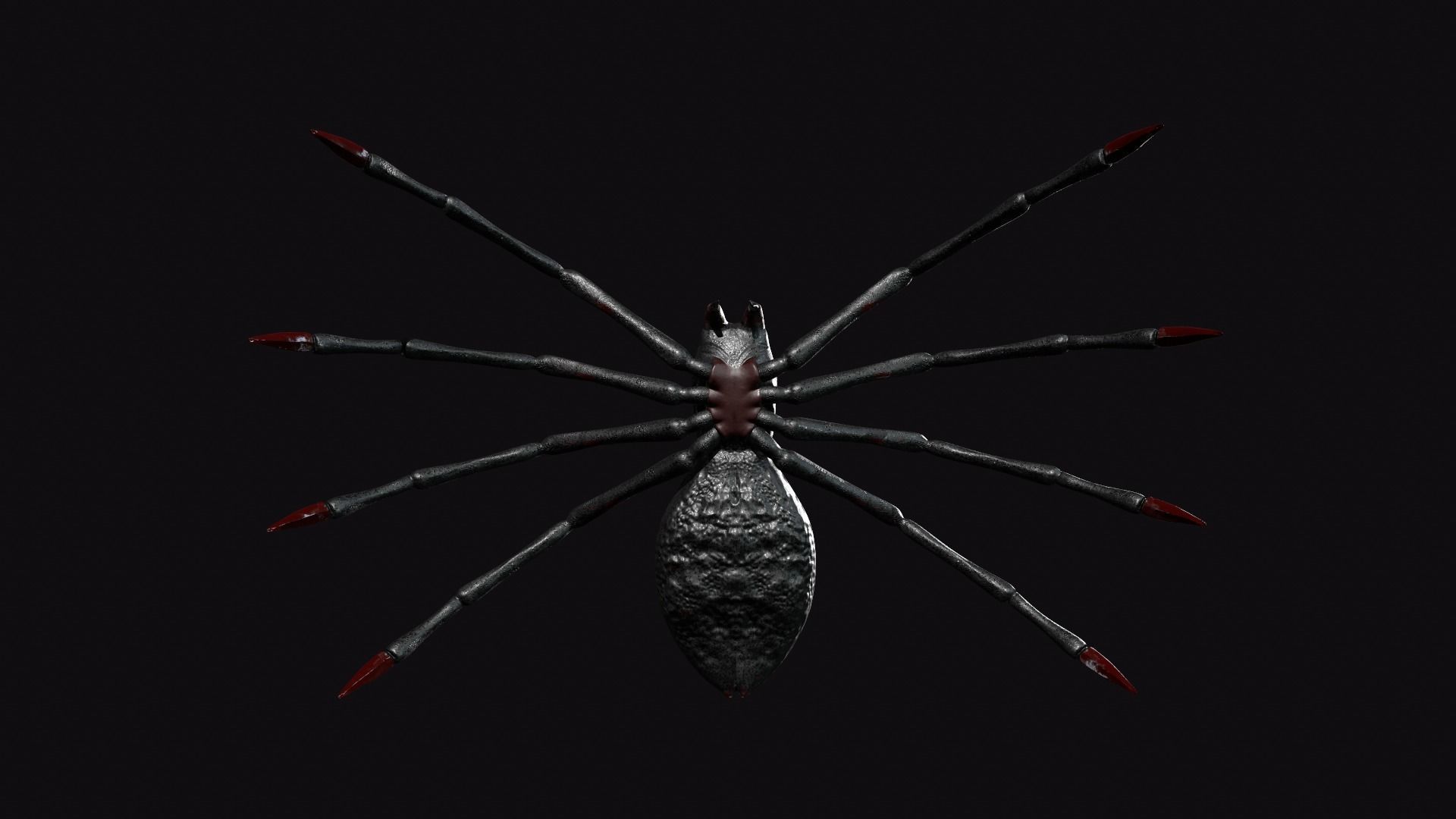 Spider Low-poly 3D model_4