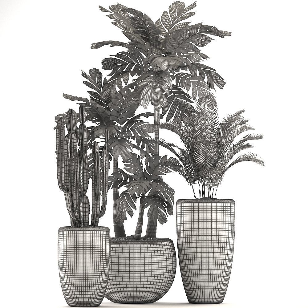 Decorative plants in flower pots for the interior 470A 3D model_7