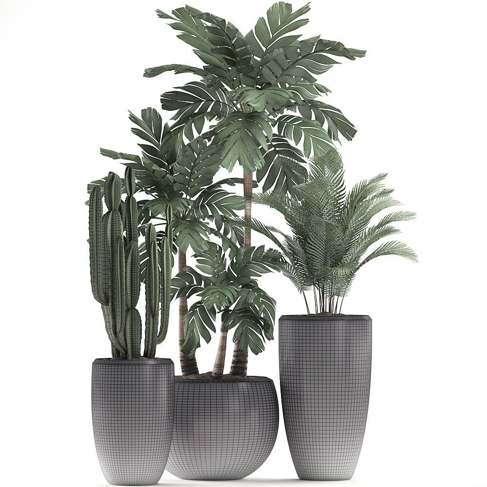 Decorative plants in flower pots for the interior 470A 3D model_6