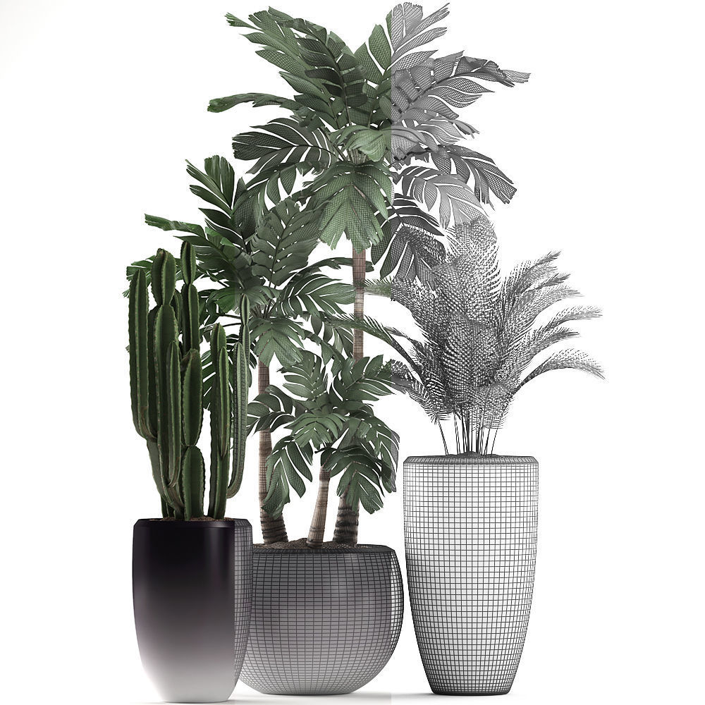 Decorative plants in flower pots for the interior 470A 3D model_5