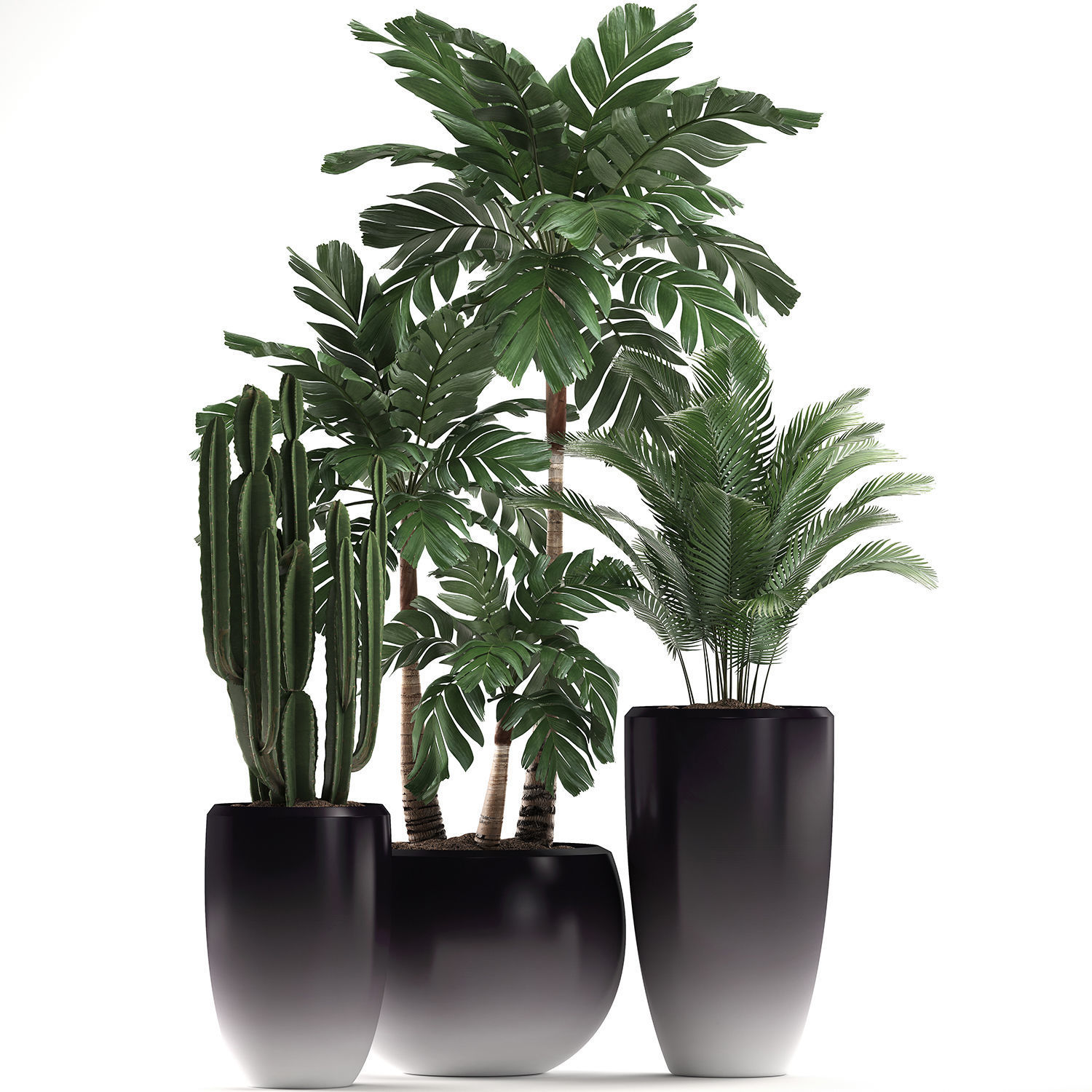 Decorative plants in flower pots for the interior 470A 3D model_1