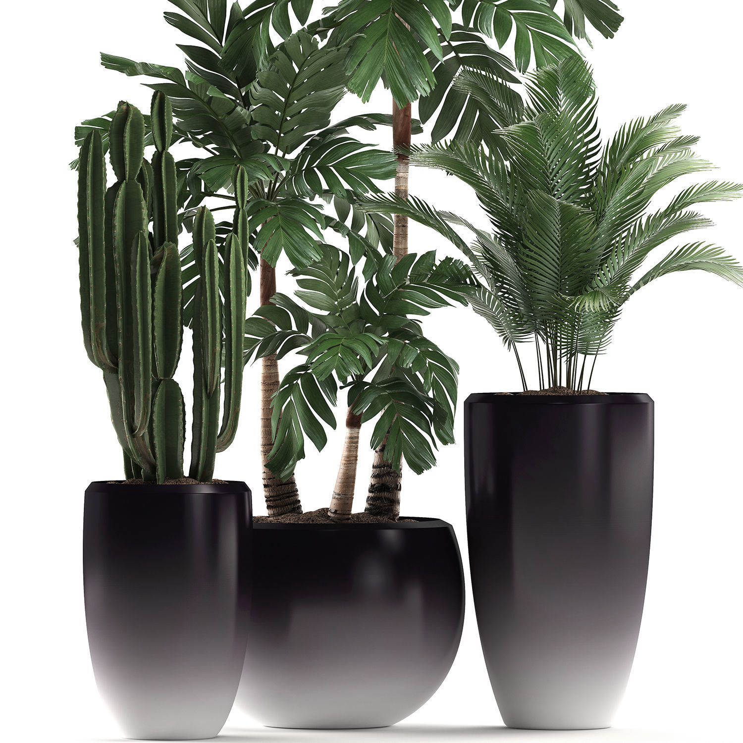 Decorative plants in flower pots for the interior 470A 3D model_2