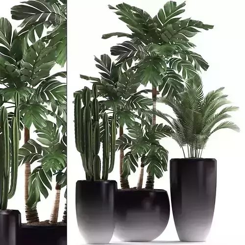 Decorative plants in flower pots for the interior 470A 3D model