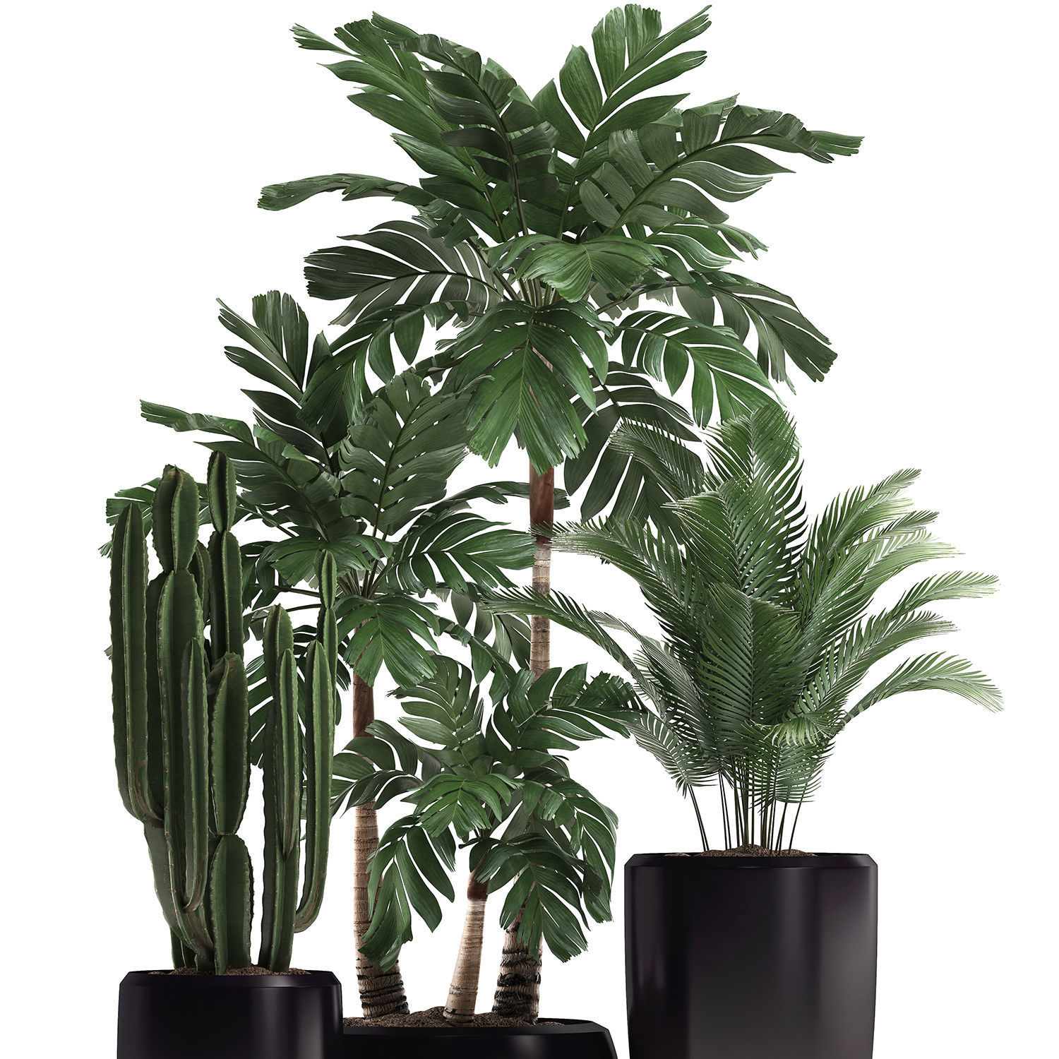 Decorative plants in flower pots for the interior 470A 3D model_3