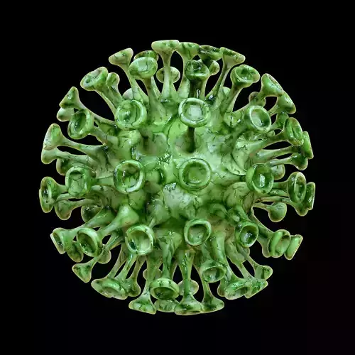 VIRUS COVID-19 Living things