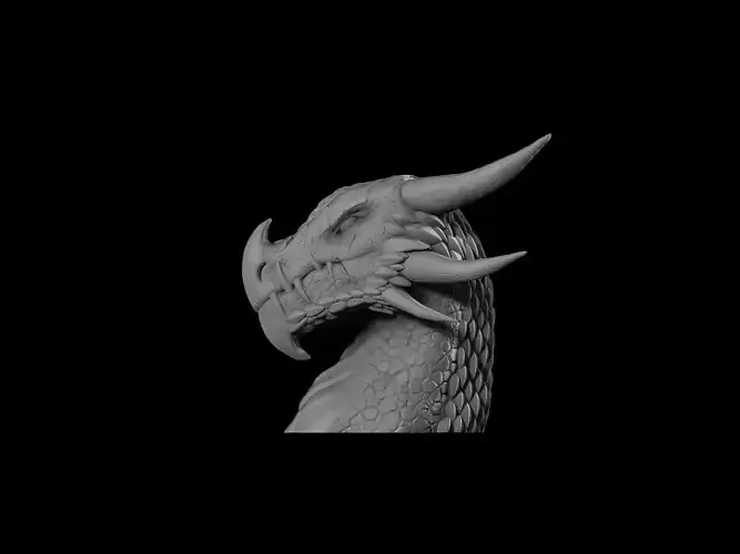 Dragons Bust