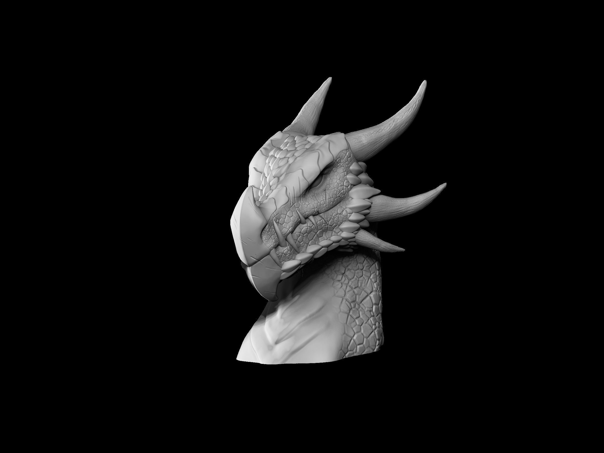 Dragons Bust 3D print model_1