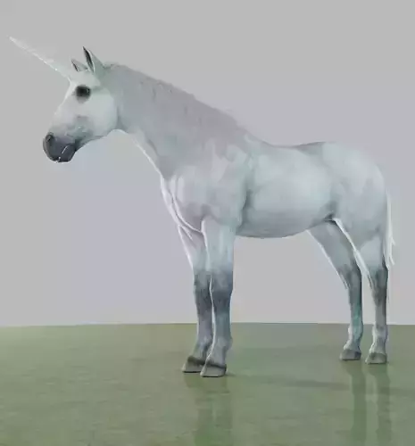 Unicorn-Horse White Rigged 