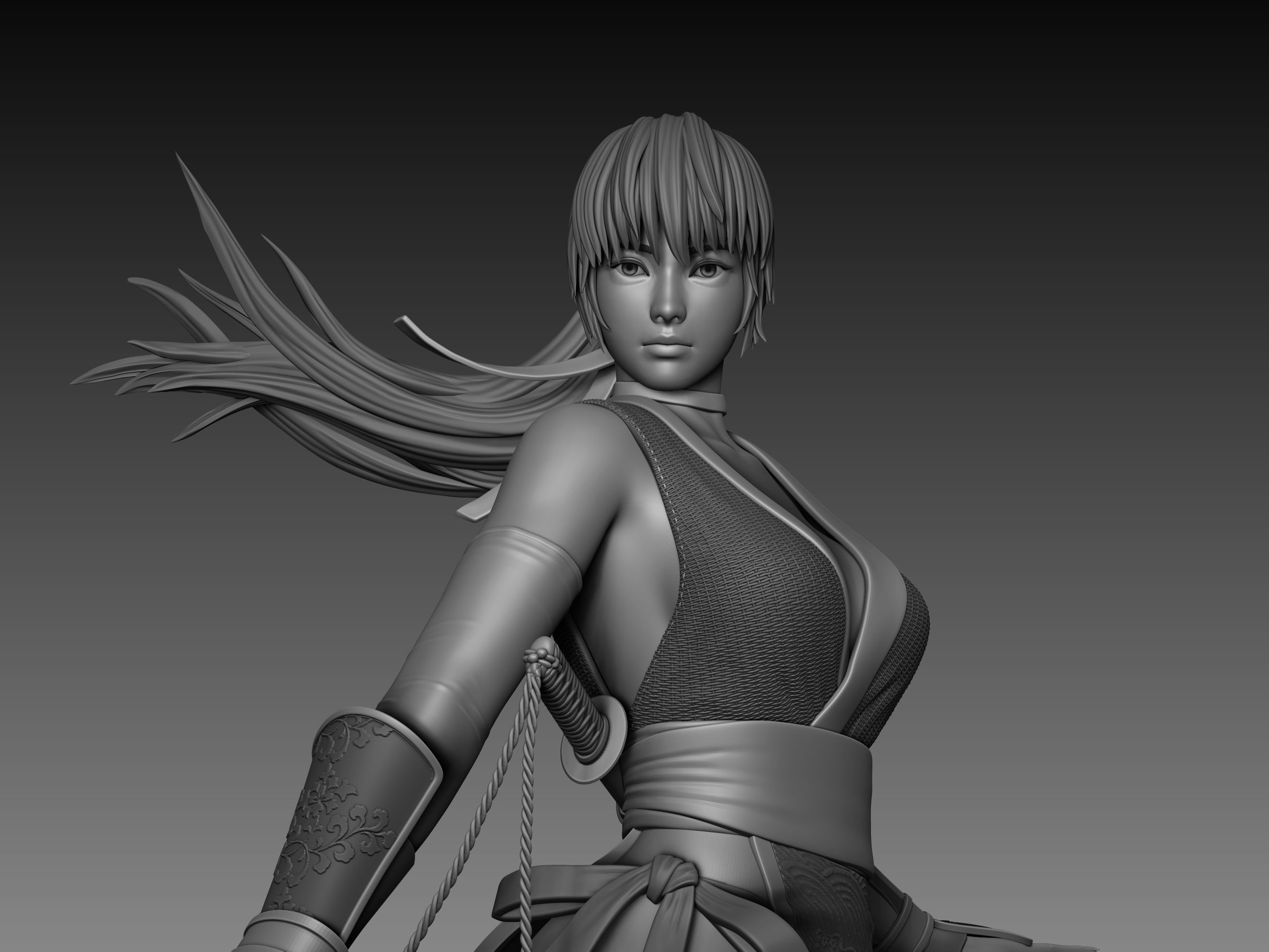 Kasumi Dead or Alive Statue Fan-art 3d Printable 3D print model_15