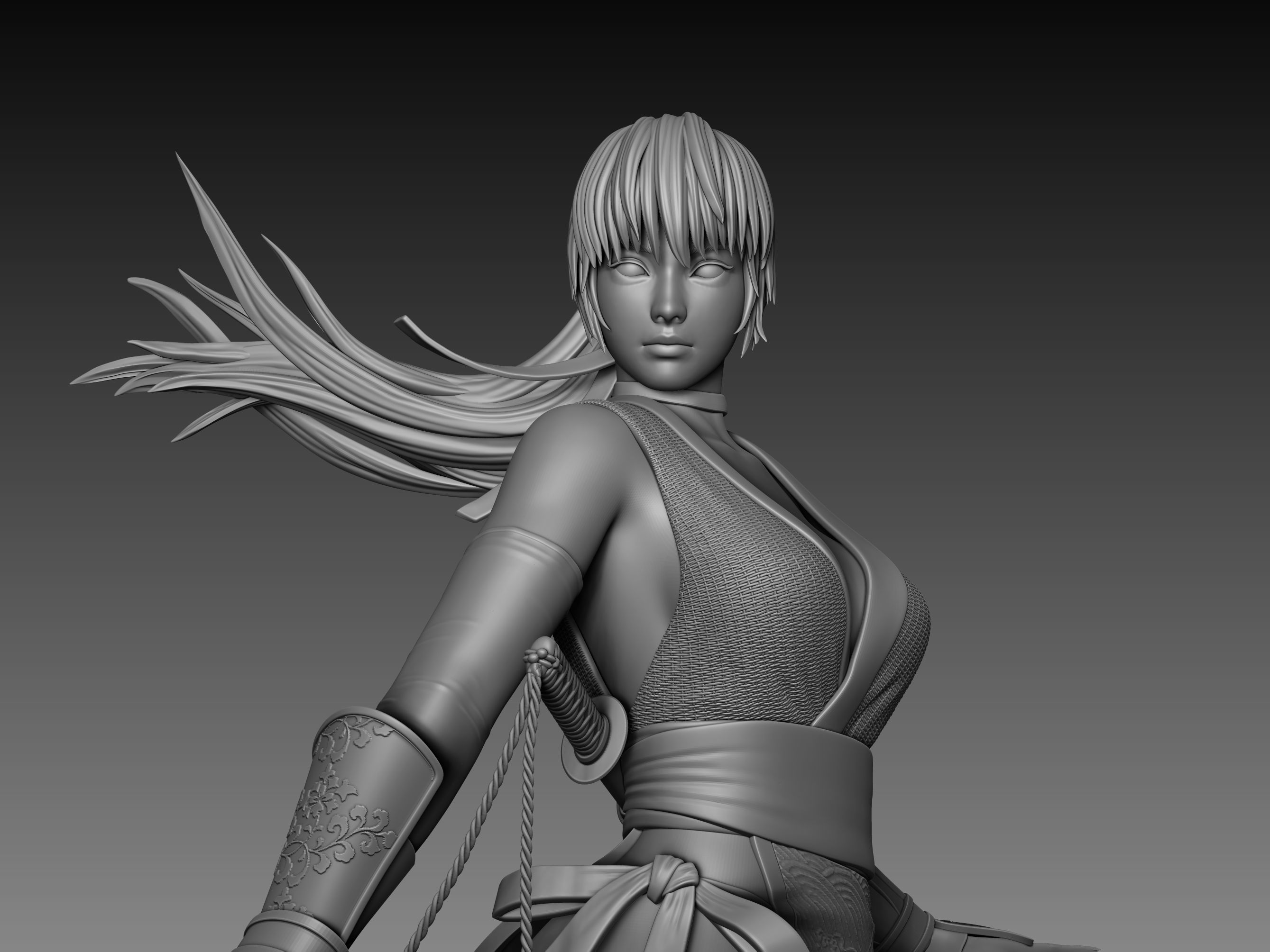 Kasumi Dead or Alive Statue Fan-art 3d Printable 3D print model_16