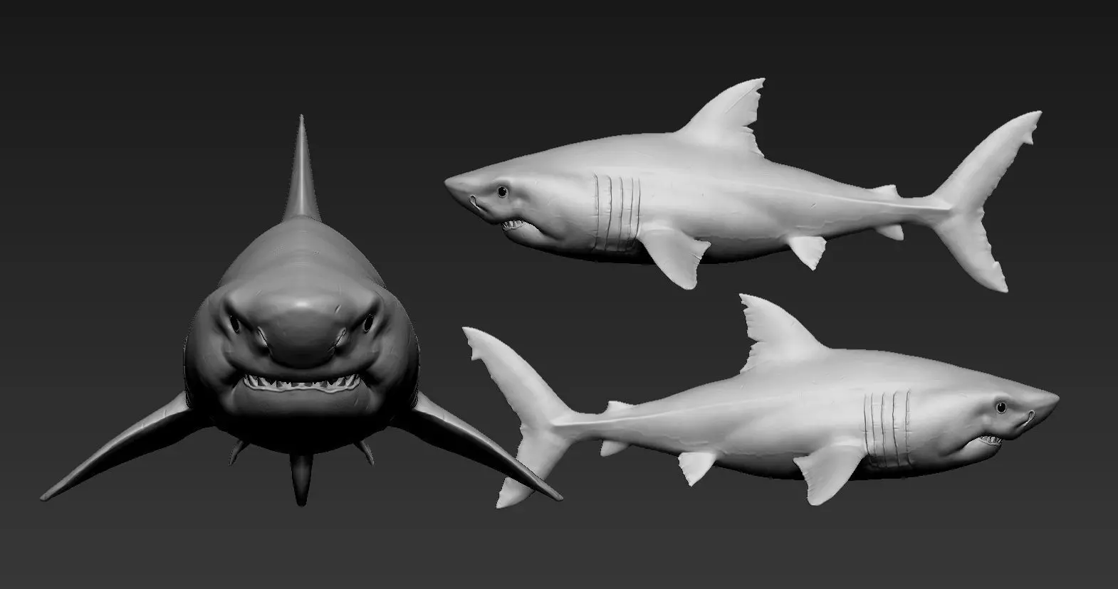 Great white shark 3D print model_0