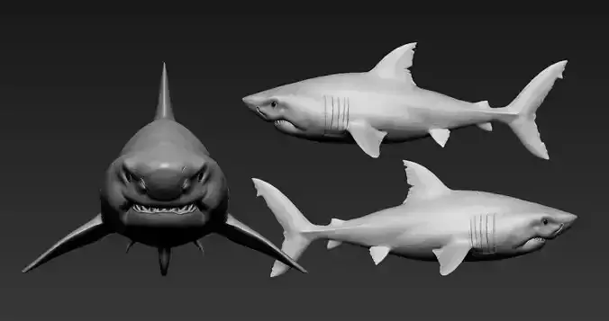 Great white shark 3D print model
