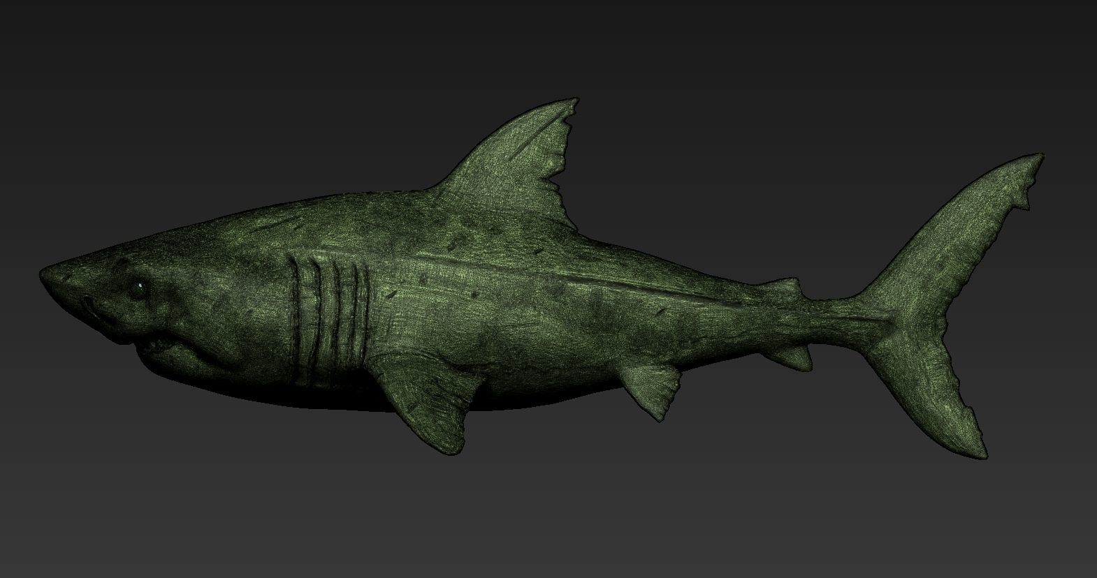 Great white shark 3D print model_7