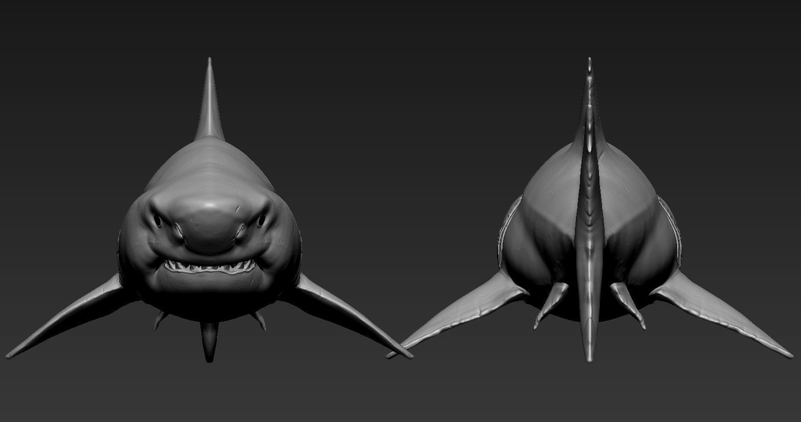 Great white shark 3D print model_3