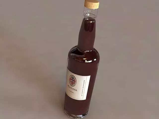 Wine Bottle 3D model_0