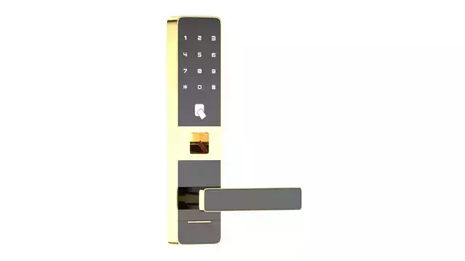 Digital Electronic Door Lock