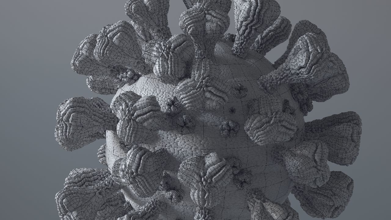 Corona Virus 3d 3D model_46