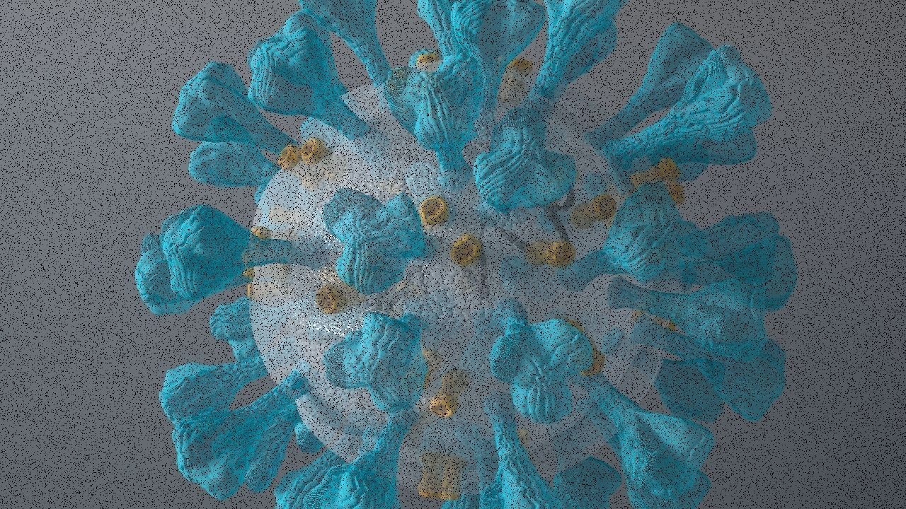Corona Virus 3d 3D model_20