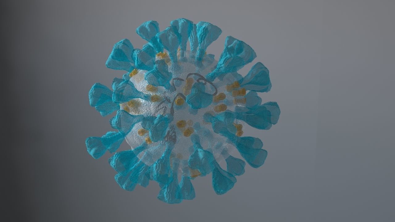 Corona Virus 3d 3D model_6