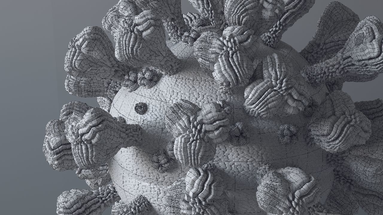 Corona Virus 3d 3D model_55
