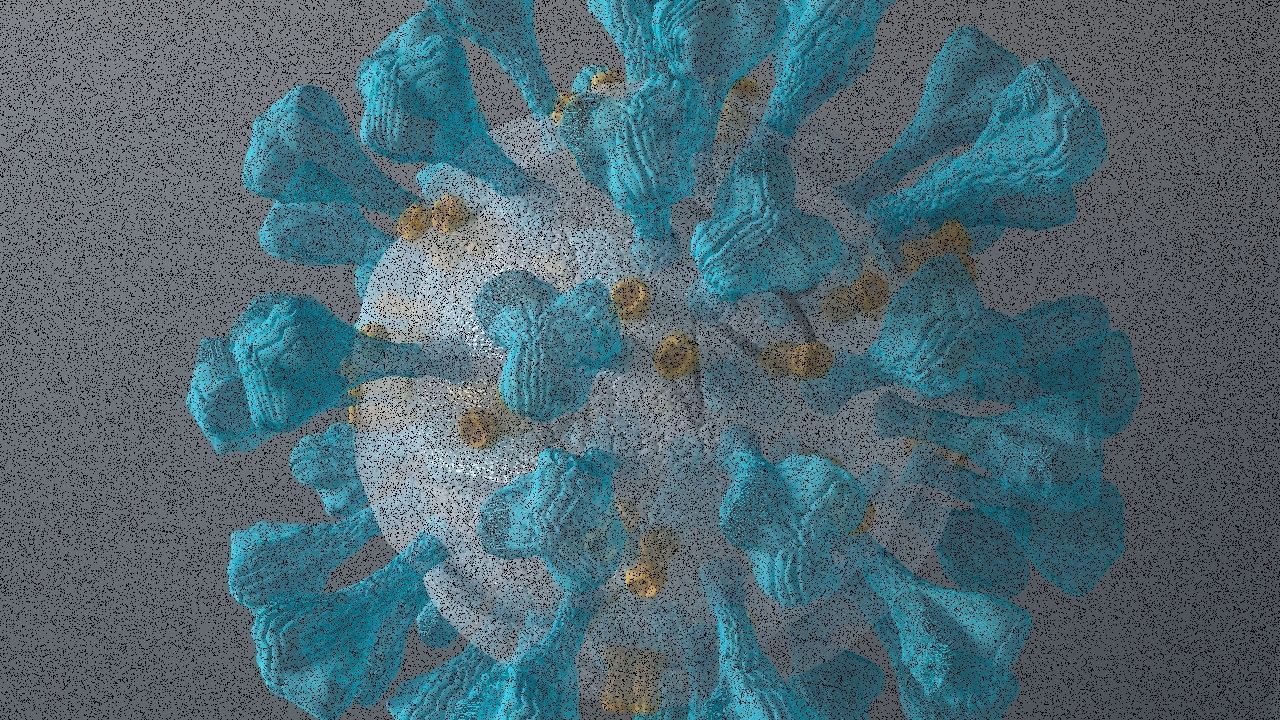 Corona Virus 3d 3D model_21