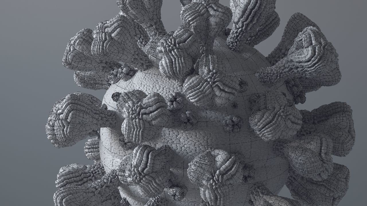 Corona Virus 3d 3D model_48