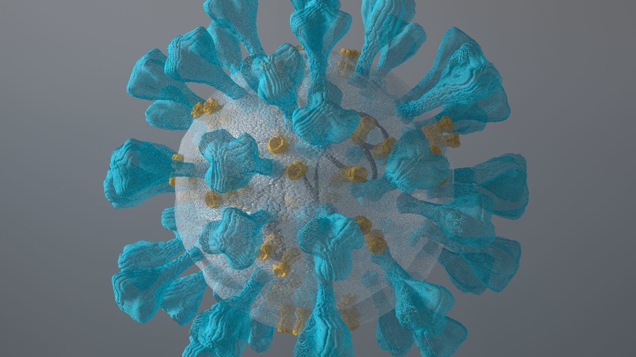 Corona Virus 3d 3D model_17