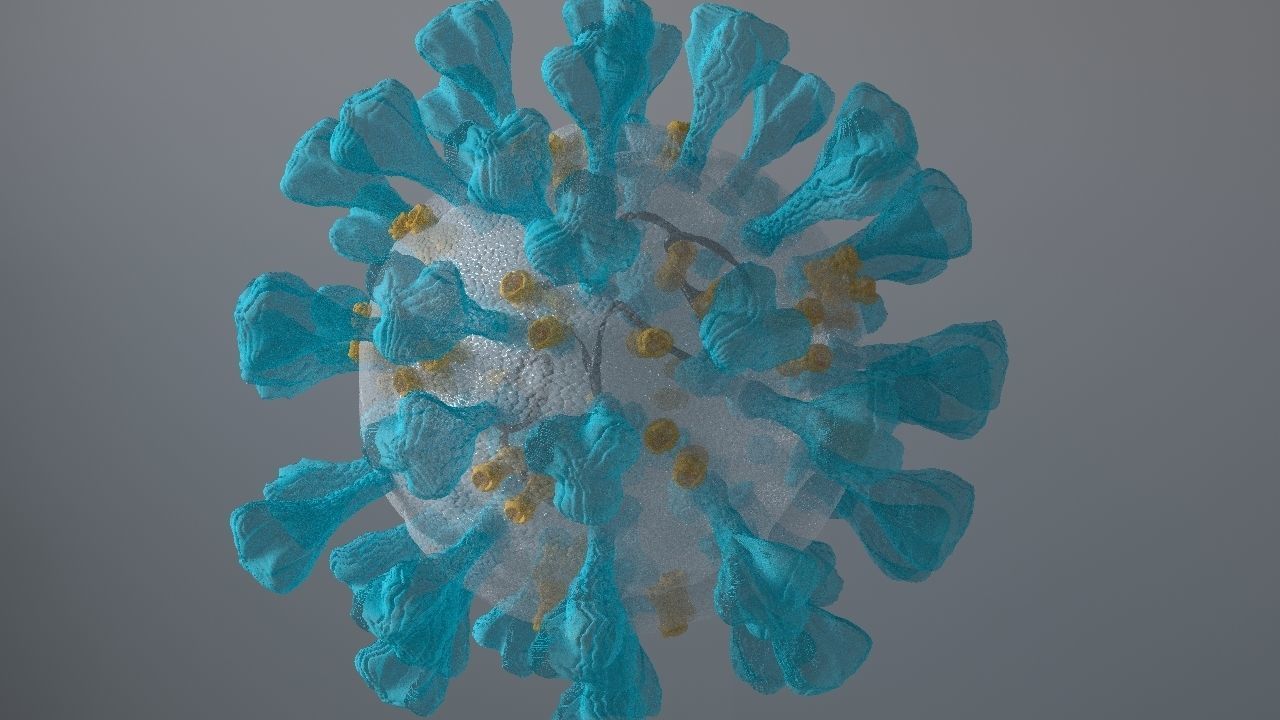 Corona Virus 3d 3D model_14