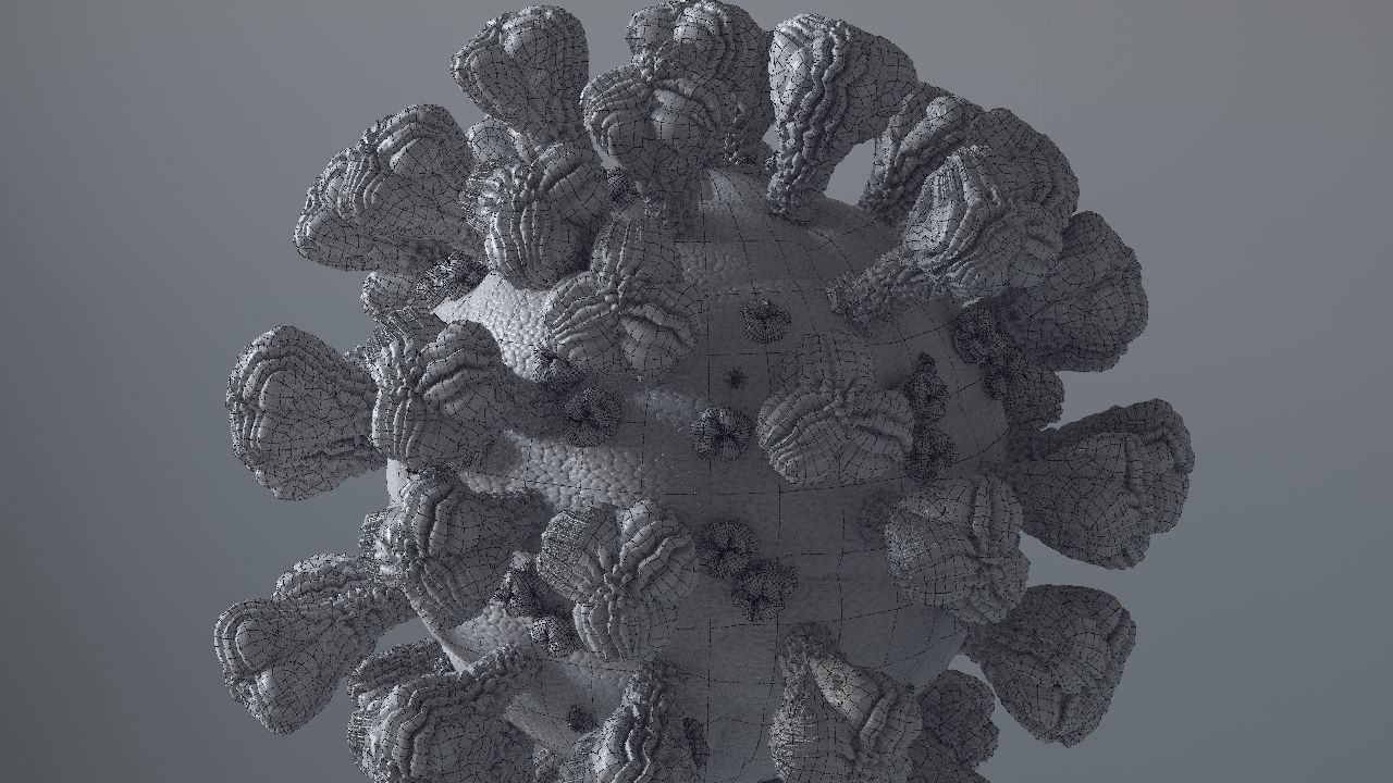 Corona Virus 3d 3D model_62