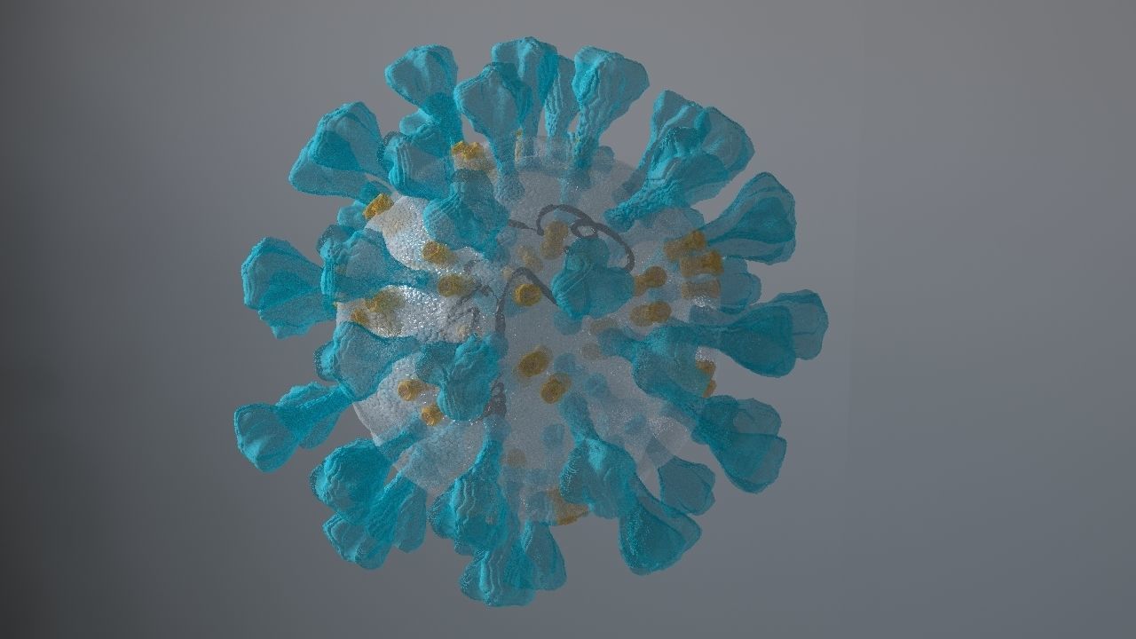 Corona Virus 3d 3D model_9