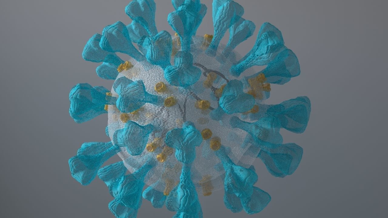 Corona Virus 3d 3D model_15