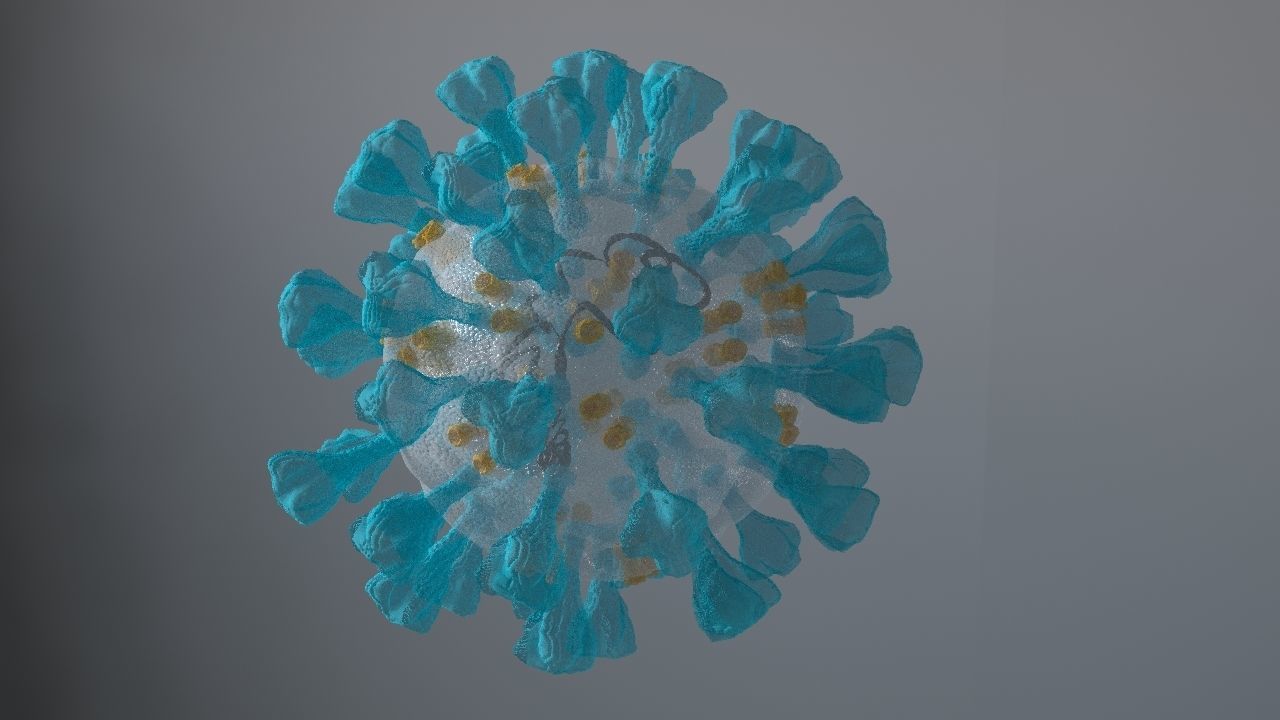 Corona Virus 3d 3D model_8