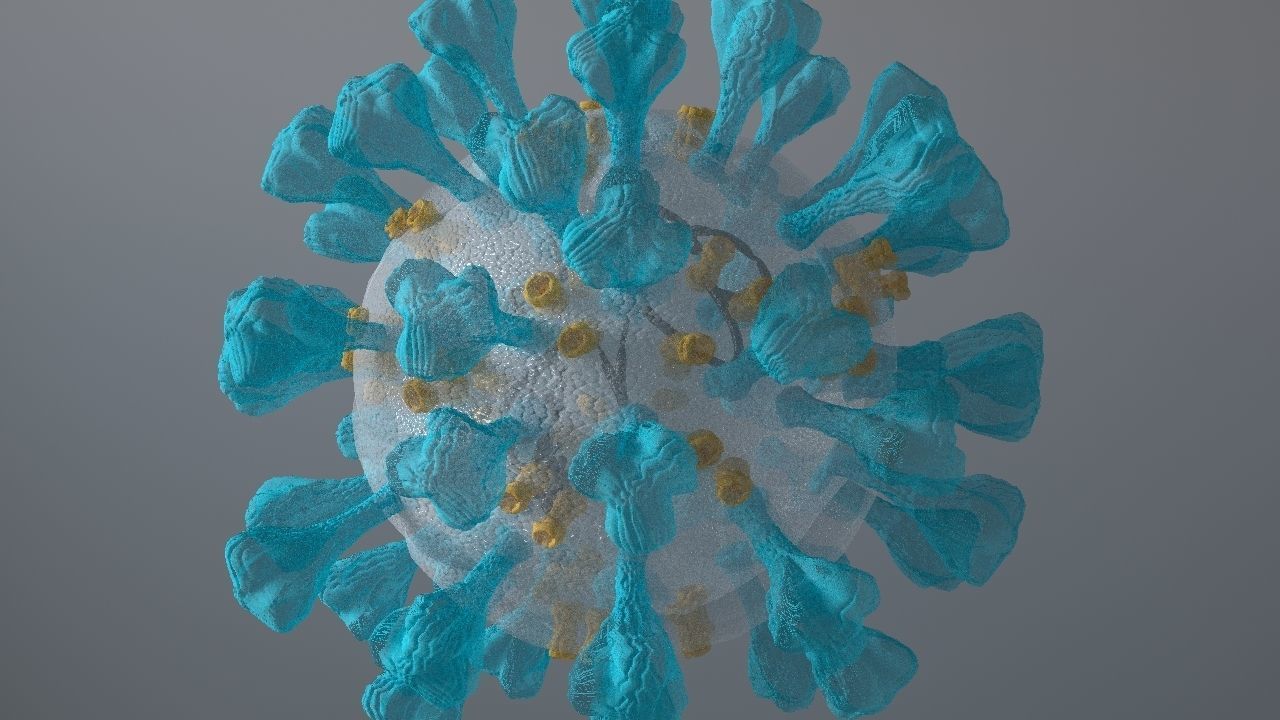 Corona Virus 3d 3D model_16