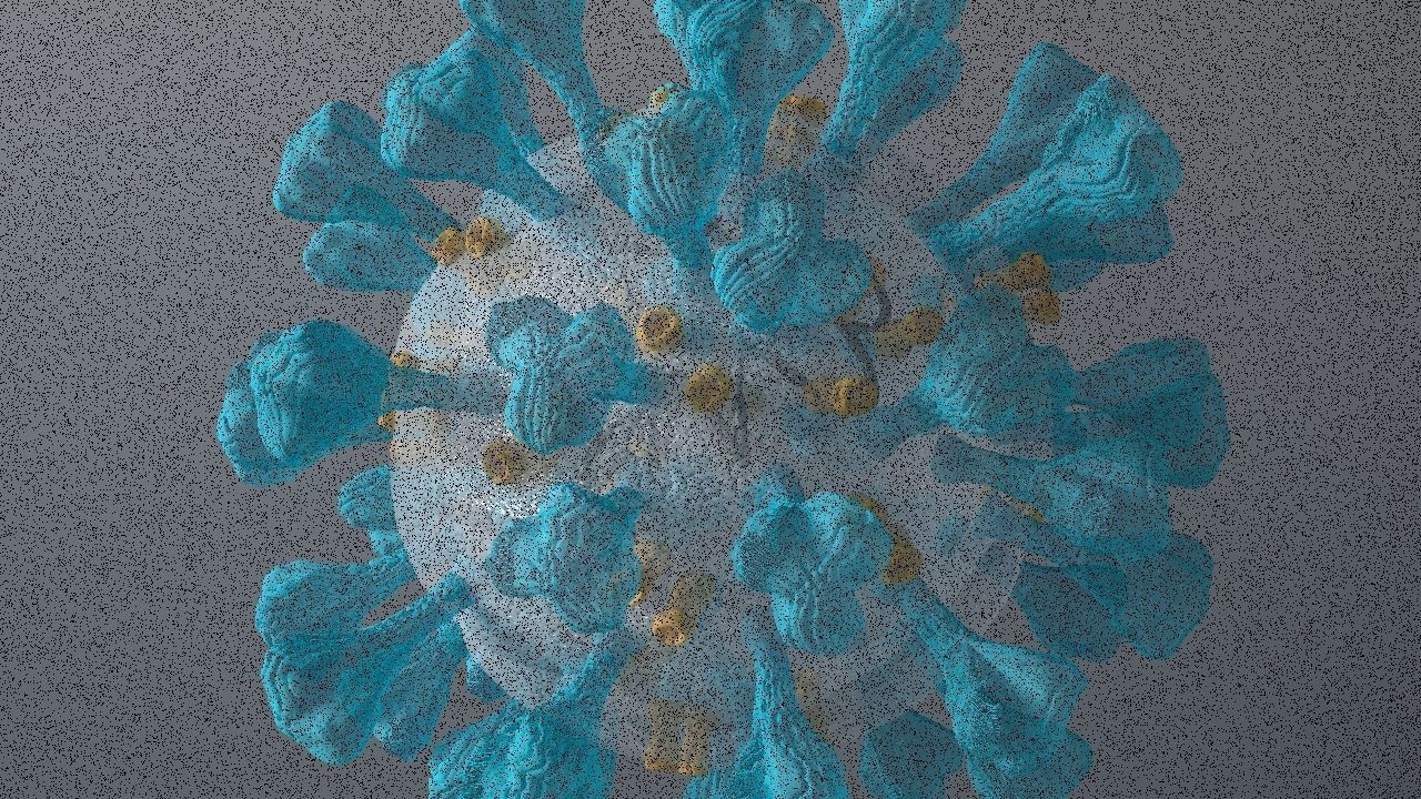 Corona Virus 3d 3D model_19