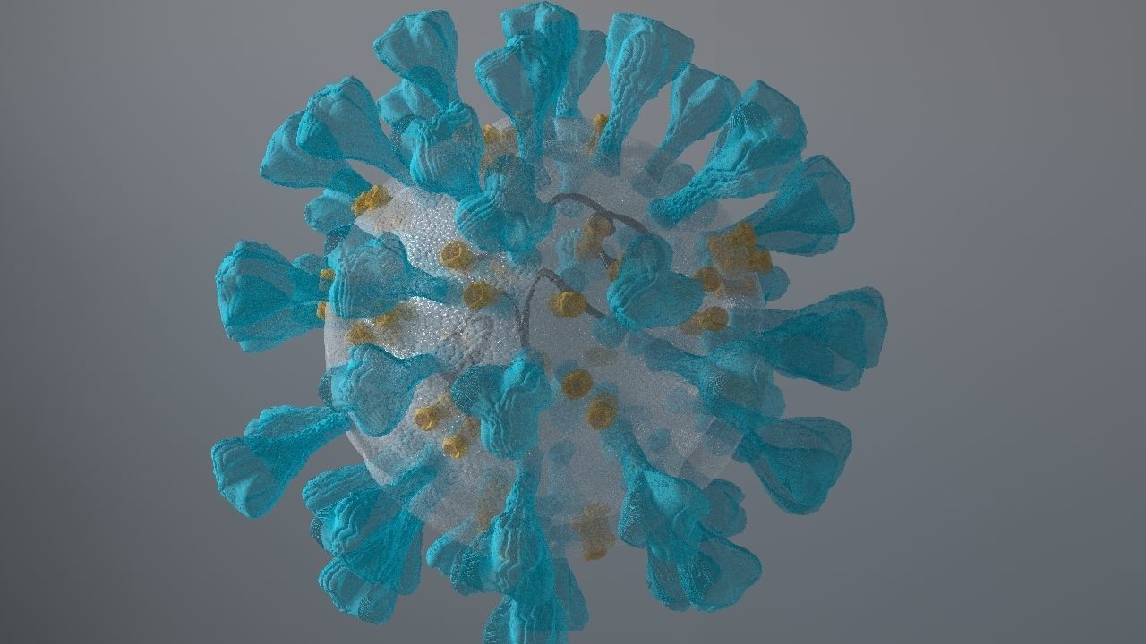 Corona Virus 3d 3D model_13