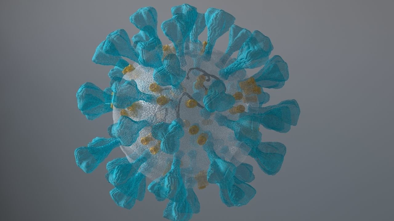 Corona Virus 3d 3D model_12