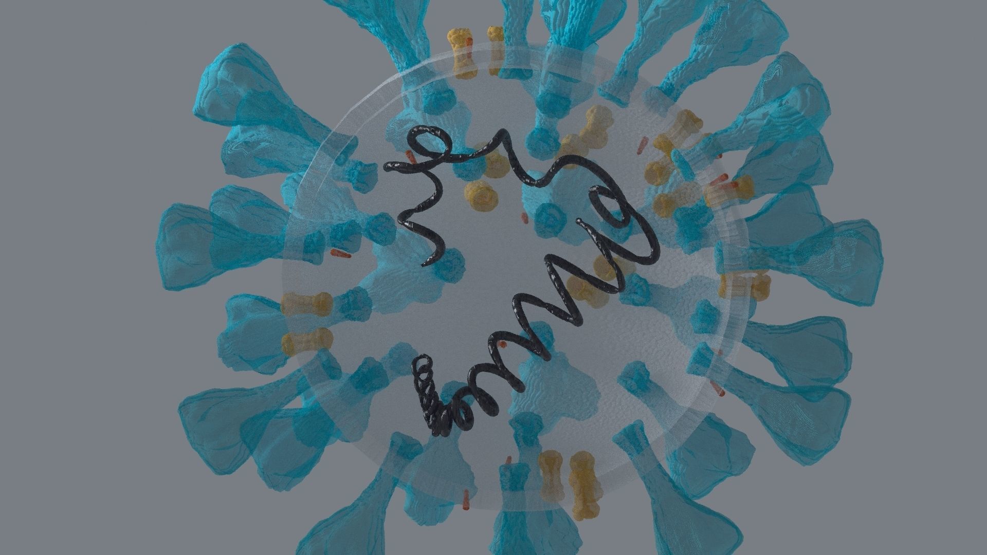 Corona Virus 3d 3D model_2