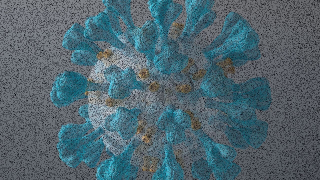 Corona Virus 3d 3D model_18