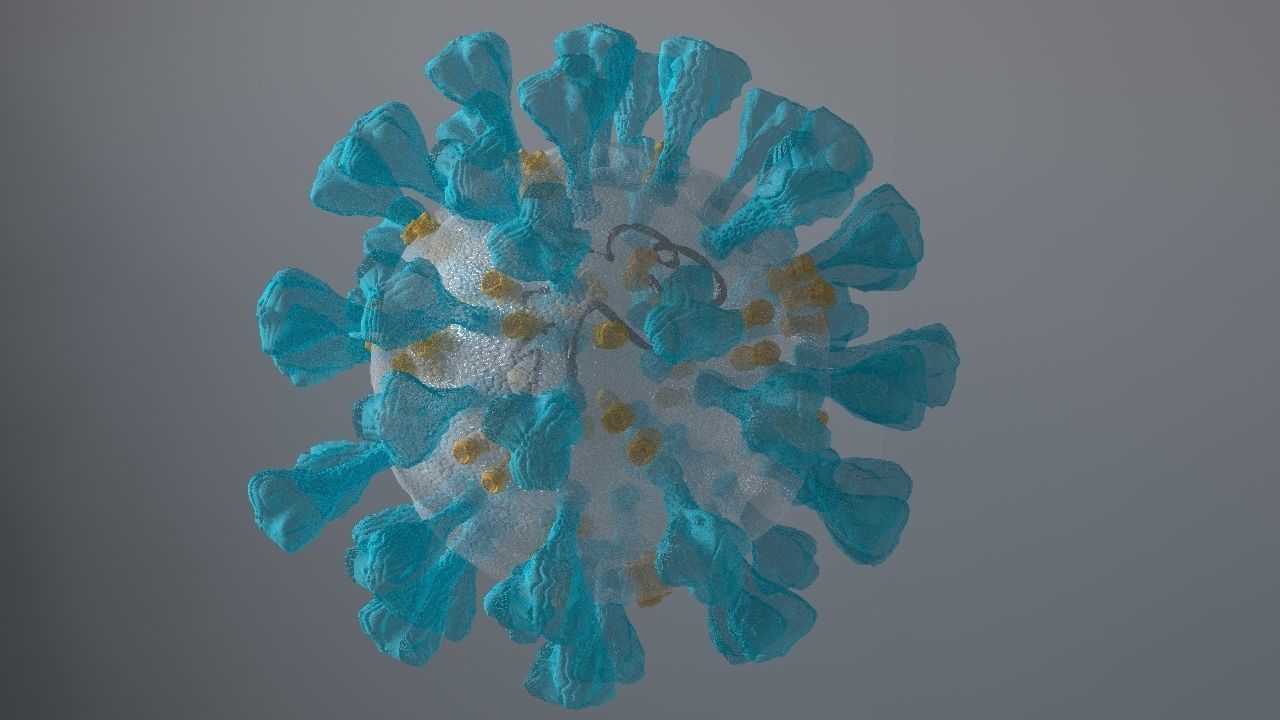 Corona Virus 3d 3D model_11