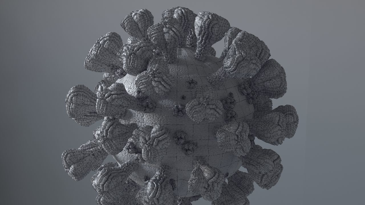 Corona Virus 3d 3D model_59